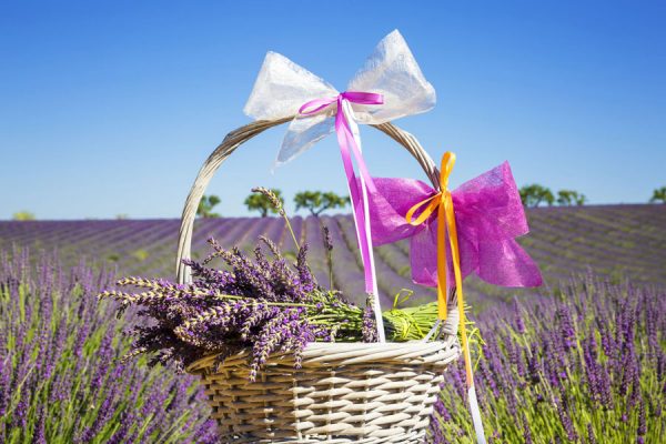 Lavender Reduces Signs of Anxiety in Women