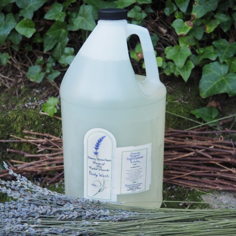 lavender-body-wash-gallon