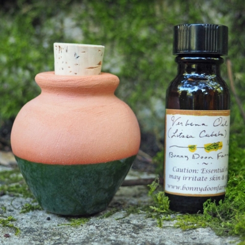 lemon-verbena-oil-combo