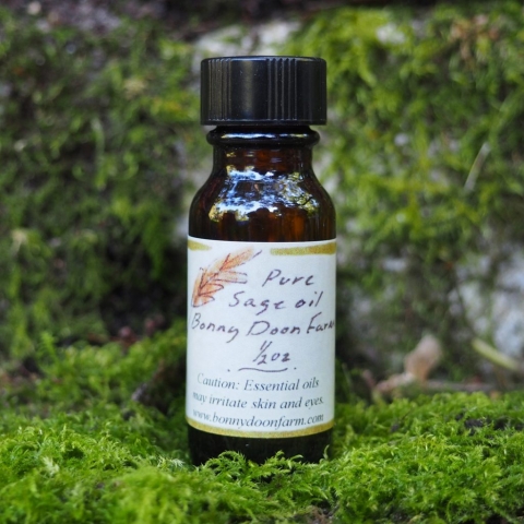 sage-oil-half