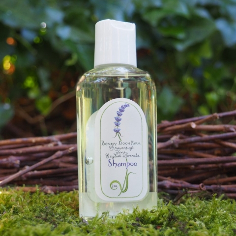 lavender-shampoo-2-front