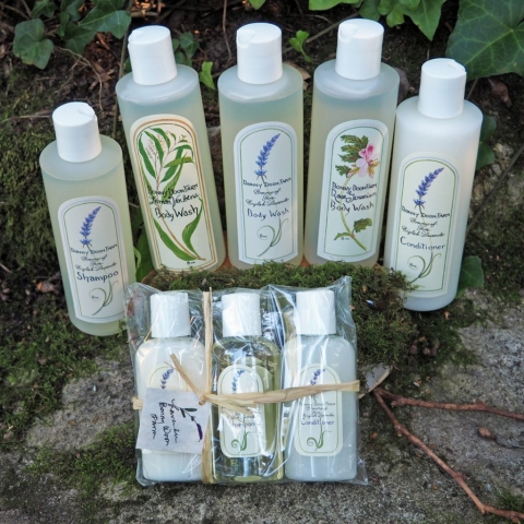 body-wash-shampoo-conditioner